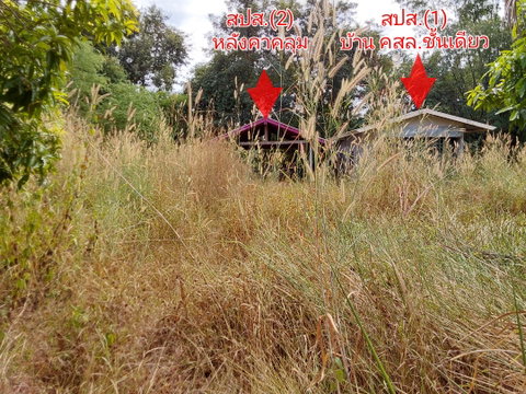 ที่ดินพร้อมสิ่งปลูกสร้าง 345 ตร.วา ไม่มี อำเภอศรีวิไล จังหวัดบึงกาฬ 2.5M