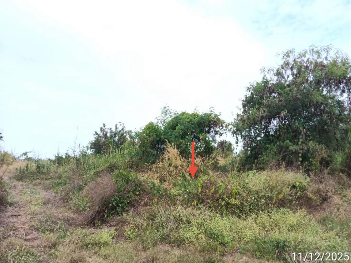 รูป เพิงอเนกประสงค์ 3184 ตร.วา สอง แพร่ 3.2M - รูปที่ 16/21