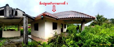 ที่ดิน ตะโหมด พัทลุง : ที่ดินพร้อมสิ่งปลูกสร้าง 2510.2 ตร.วา อำเภอตะโหมด จังหวัดพัทลุง 2.8M