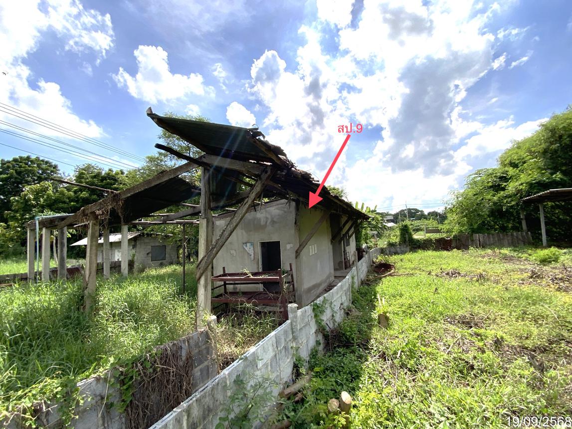 รูป ฟาร์ม 3345 ตร.วา ท่าวุ้ง ลพบุรี 9.3M - รูปที่ 44/51