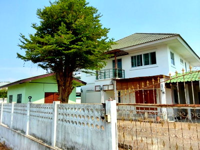 Land for sale Chiang Mai : LAND 241 Sq.w. Mae Rim Chiang Mai for 3M