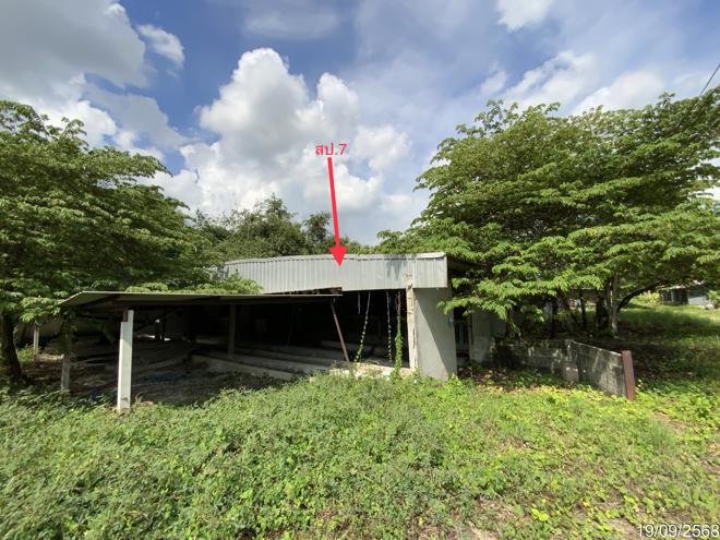 รูป ฟาร์ม 3345 ตร.วา ท่าวุ้ง ลพบุรี 9.3M - รูปที่ 18/51