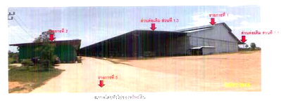 ขายโรงงาน : โรงสี 18056 ตร.วา อำเภอระโนด จังหวัดสงขลา 148.6M