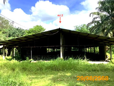 ขายที่ดิน : ฟาร์ม 2165 ตร.วา กะปง พังงา 4M