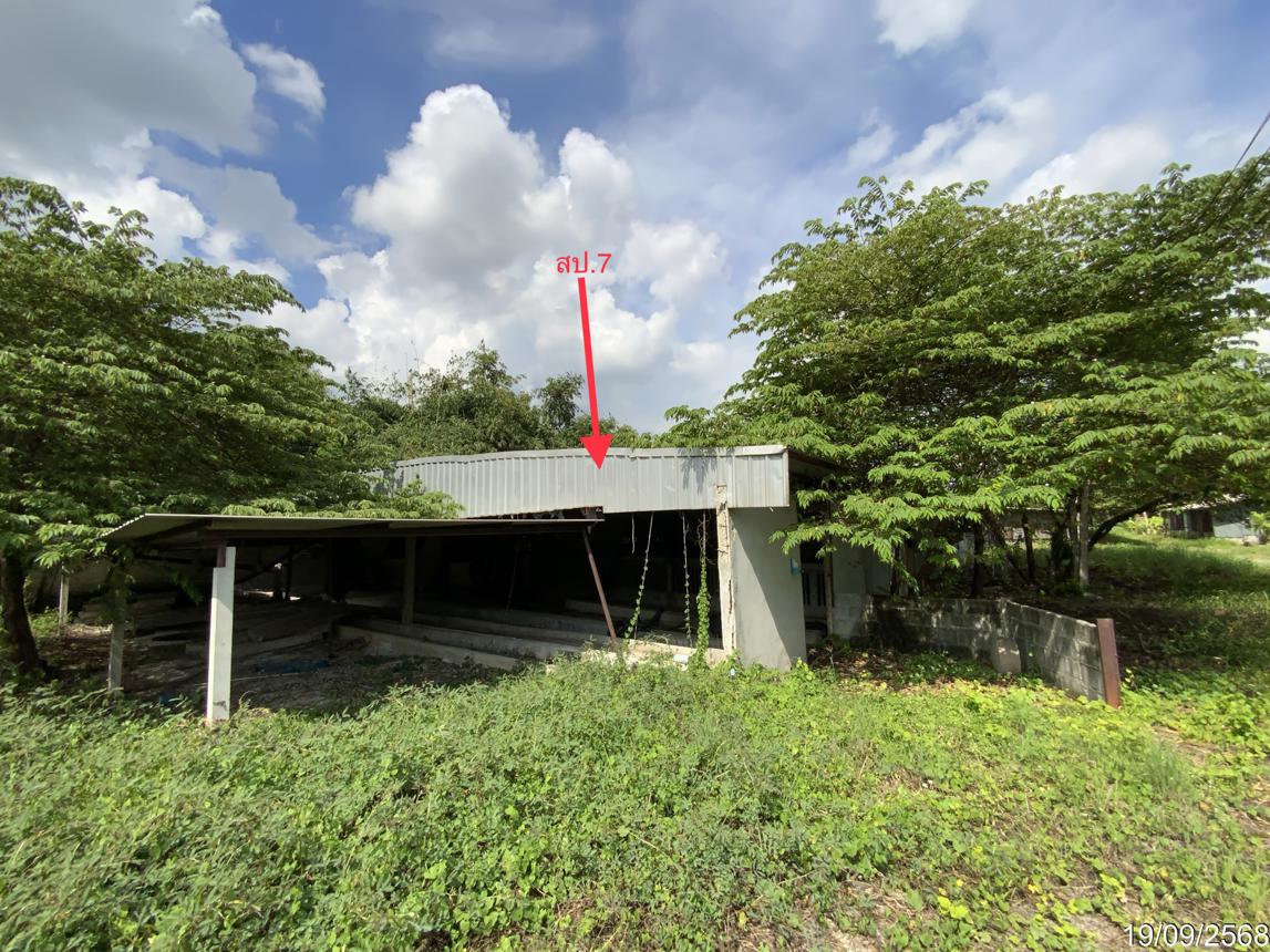 รูป ฟาร์ม 3345 ตร.วา ท่าวุ้ง ลพบุรี 9.3M - รูปที่ 41/51