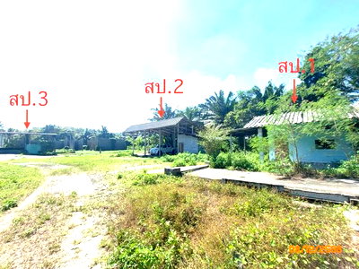 Houses for sale Surat Thani : HOME 1000 Sq.w. Prasaeng Surat Thani for 1.3M