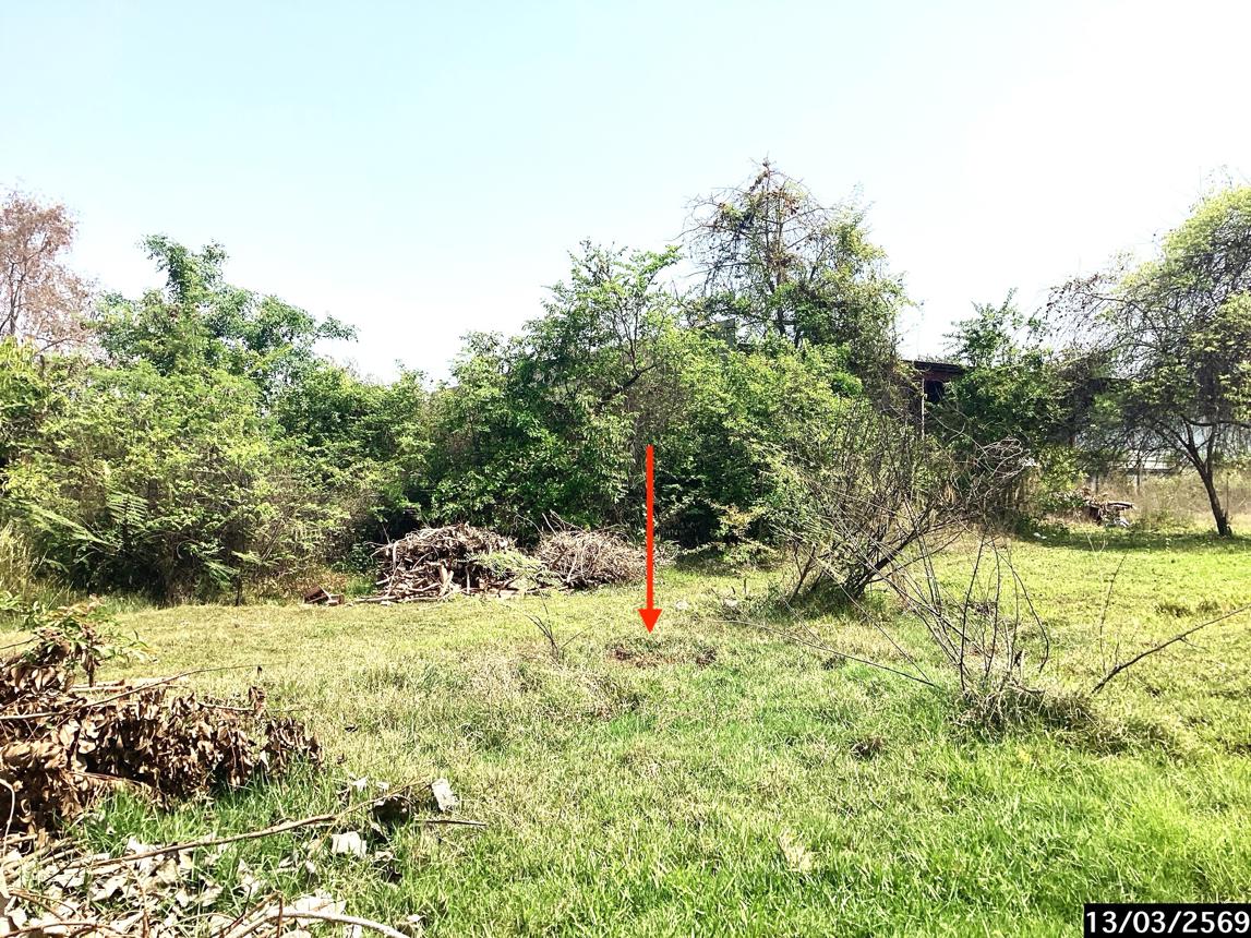 รูป ที่ดินว่างเปล่า 2817.4 ตร.วา เมืองสกลนคร สกลนคร 28.9M - รูปที่ 14/21