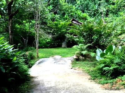Land for sale Chiang Mai : Land For Sale 46.9 Sqm Huai Kaeo Mae On Chiang Mai (ID 2762438)