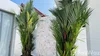 listing thumbnail image 22