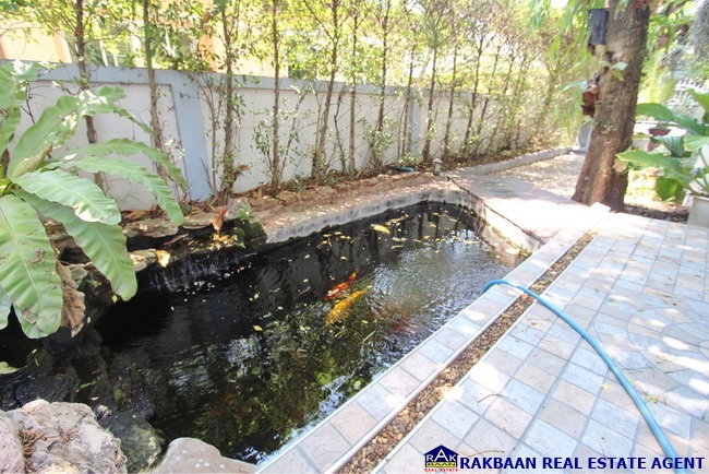 รูป ขายบ้านลำลูกกาคลอง6 บ้านฟ้าปิยรมย์ 52ตร.ว. 3นอน 2ห้องน้ำ 1ครัว แถมแอร์,ปั๊มน้ำ,แท็งค์น้ำ,ผ้าม่าน,มุ้งลวด,เหล็กดัด 3.4ล้านเท่านั้น - รูปที่ 9/27