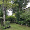 listing thumbnail image 14