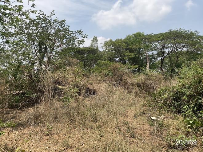 รูป ที่ดินว่างเปล่า 389.9 ตร.วา เมืองขอนแก่น ขอนแก่น 2.8M - รูปที่ 7/25