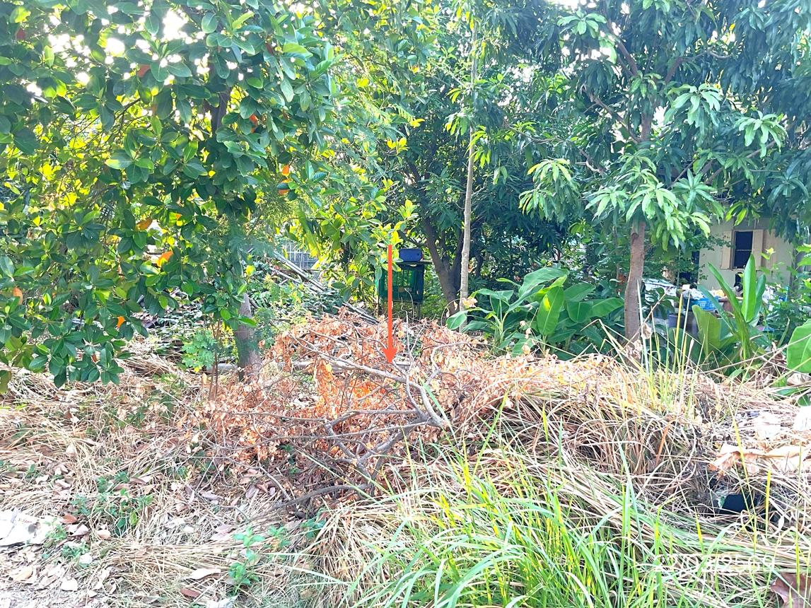 รูป ที่ดินว่างเปล่า 169.1 ตร.วา เขตดอนเมือง กรุงเทพมหานคร 4.1M - รูปที่ 7/11