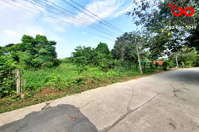 ที่ดิน วิทยาลัยการอาชีพกาญจนาภิเษกหนองจอก : ขายที่ดิน 366 ตรว. ถนนลำไทร หนองจอก ติดถนน 2 ด้าน ปลดล็อคทุกไลฟ์สไตล์ บนที่ดินผืนสวย