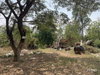 listing thumbnail image 4