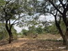 listing thumbnail image 15