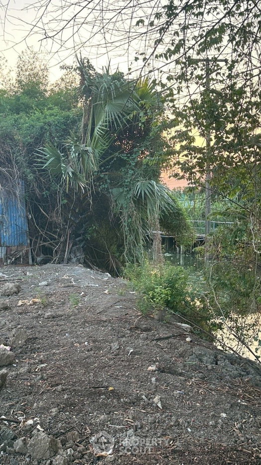 picture Land For Sale In Phraeksa, Mueang Samut Prakan, Samut Prakan (ID 2772173) - 11/13