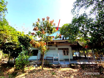 บ้านเดี่ยว เมืองนครปฐม นครปฐม : บ้านเดี่ยว 1229 ตร.วา เมืองนครปฐม นครปฐม 6.4M