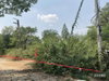 listing thumbnail image 12