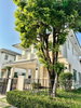 listing thumbnail image 2