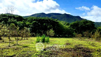 Land for sale Chiang Mai : Land For Sale On Klang, Mae On, Chiang Mai (ID 2709790)
