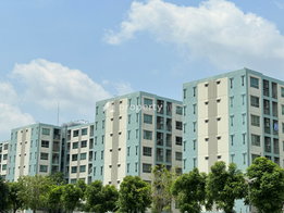 Project Lumpini Ville Onnut - Lat Krabang 2  Picture - 3/13