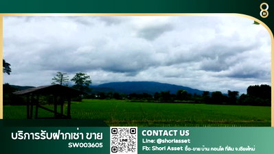 Land for sale Chiang Mai : Beautiful plot of land for sale in Hang Dong, with 180-degree mountain views and a longan orchard. Excellent atmosphere. -SW003605
