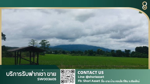 ขายที่ดินแปลงสวยหางดง เห็นวิวเขา 180 องศา พร้อมสวนลำไย บรรยากาศดีมาก -SW003605