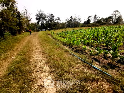 Land for sale Chiang Mai : Land For Sale In Buak Khang, San Kamphaeng, Chiang Mai (4.5M THB) (ID 2665089)