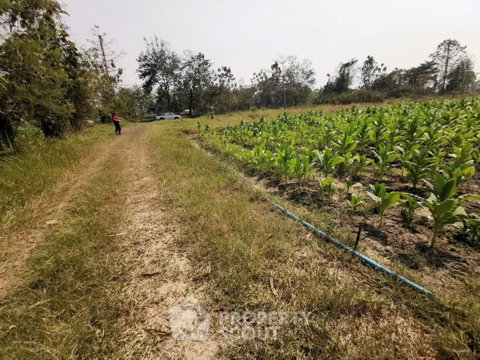 ที่ดินขาย ในบวกแข็ง สันกำแพง เชียงใหม่ ราคา 4.5 ล้านบาท (ID 2665089)