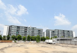 Project dcondo Onnut - Suvarnabhumi Picture - 5/9