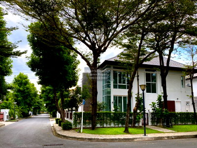 บ้านเดี่ยวให้เช่า : เช่าบ้าน  บลูลากูน บางนา - ตราด กม.8 ดอกไม้ เขต ประเวศ กรุงเทพ CX-151537 ✅ ทักไลน์ @connexproperty ตอบทันที ทีมงานมืออาชีพ ✅