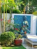 listing thumbnail image 11