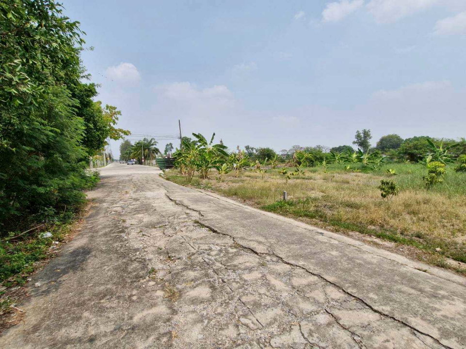รูป ที่ดินเปล่า 220 ตร.ว. ทำเลค้าขาย ถนนเมนต้นโครงการ เคซี.การ์เด้นโฮม นิมิตใหม่ ซ.40 เขตคลองสามวา  - รูปที่ 11/14