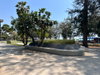 listing thumbnail image 23