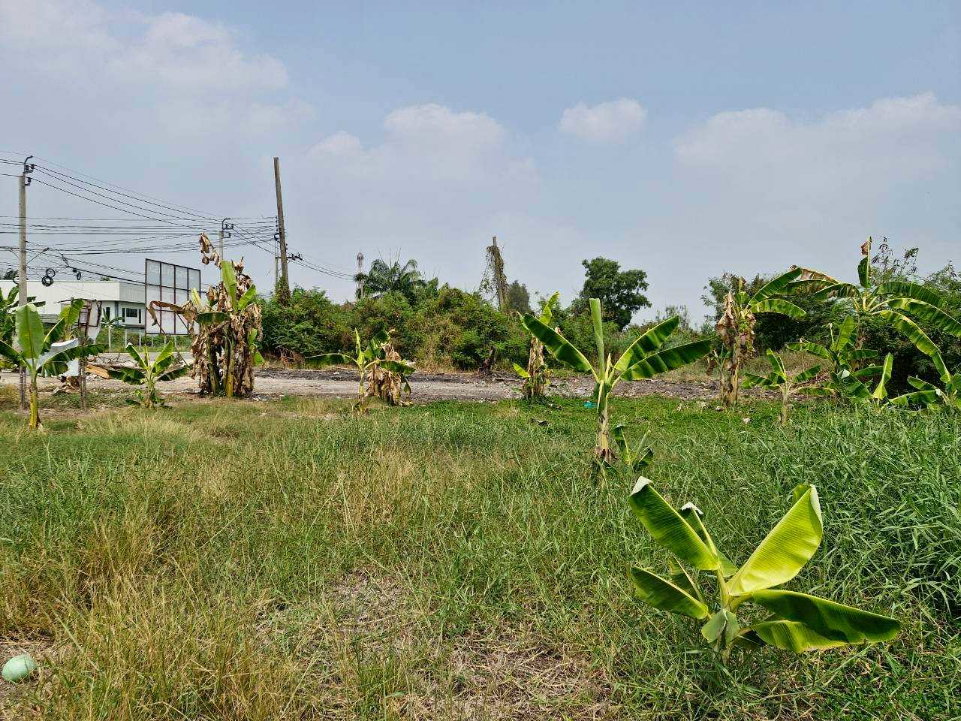 รูป ที่ดินเปล่า 220 ตร.ว. ทำเลค้าขาย ถนนเมนต้นโครงการ เคซี.การ์เด้นโฮม นิมิตใหม่ ซ.40 เขตคลองสามวา  - รูปที่ 13/14