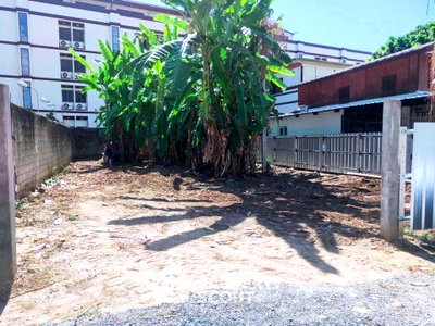 ที่ดิน สำนักงานขนส่งจังหวัดเชียงใหม่ : ที่ดินเพื่อขาย ในช้างคลาน เมืองเชียงใหม่ เชียงใหม่ (7,000,000 บาท) (ID 1499045)