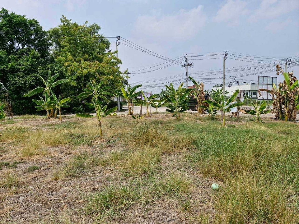 รูป ที่ดินเปล่า 220 ตร.ว. ทำเลค้าขาย ถนนเมนต้นโครงการ เคซี.การ์เด้นโฮม นิมิตใหม่ ซ.40 เขตคลองสามวา  - รูปที่ 12/14