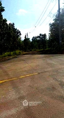 Land for sale Chiang Mai : Land For Sale In San Pu Loei, Doi Saket Chiang Mai (ID 2798124)