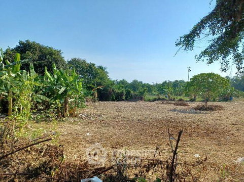 ขายที่ดินใกล้ทะเลสาบมาบประจัน อำเภอบางละมุง จังหวัดชลบุรี (ID 2781229)
