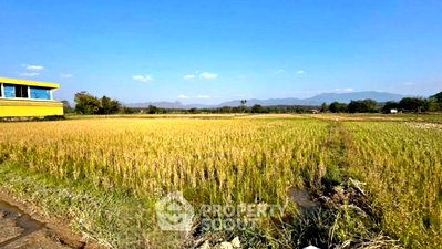 Land for sale Chiang Mai : For Sale Land Plot In Chiang Dao, Chiang Mai (ID 2800731)