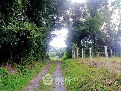 Land for sale Chiang Mai : Land For Sale Pa Pong, Doi Saket, Chiang Mai (ID 2801437)