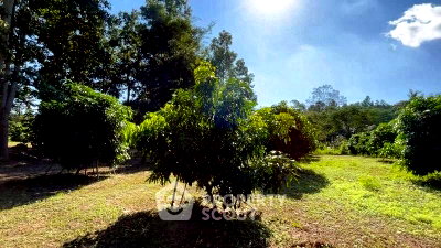 Land for sale Chiang Mai : Land For Sale In Grandcanyonchiangmai, Nam Phrae Hang Dong 📍 Chiang Mai (ID 2803174)