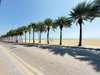 listing thumbnail image 25