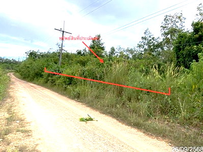 ขายที่ดิน : ที่ดินว่างเปล่า 152.6 ตร.วา หาดใหญ่ สงขลา 916,000