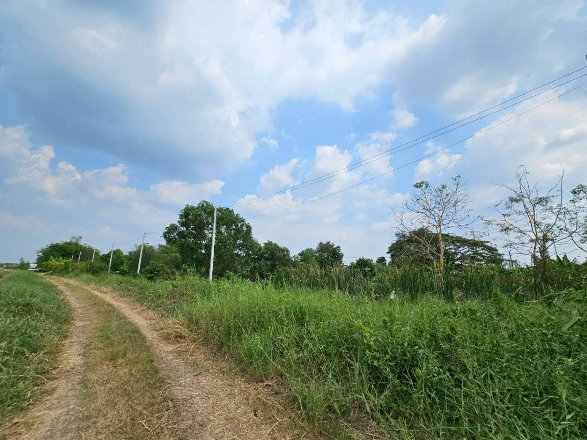 รูป ขายที่ดิน คลองสี่ อ.คลองหลวง เนื้อที่รวม 21 ไร่ 147 ตร.ว. ราคาถูก - รูปที่ 5/11