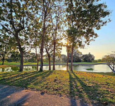 Land for Sale in Huai Yai Pattaya
