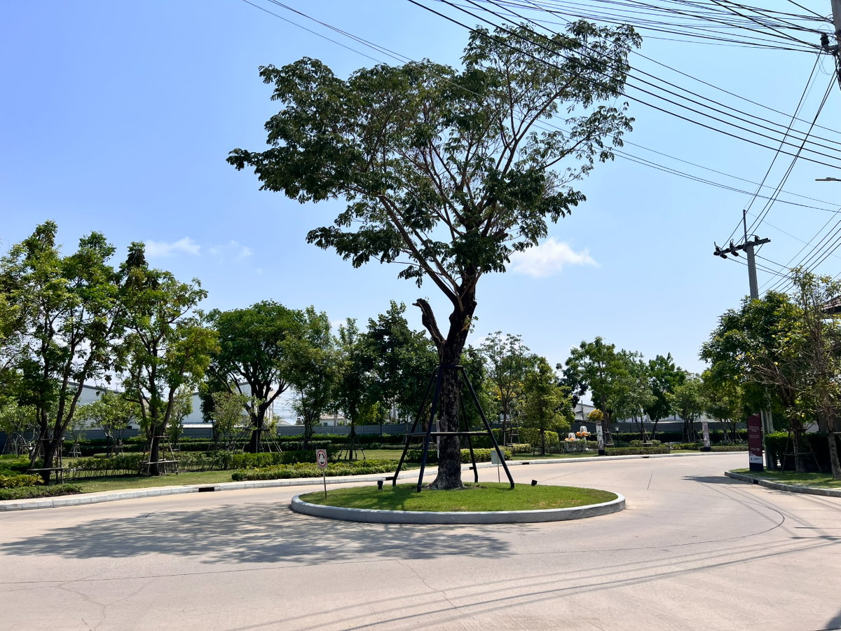 รูป ขายบ้านแฝด พลีโน่ สุขสวัสดิ์–ประชาอุทิศ (36 ตร.ว.) 3 นอน 2 น้ำ พร้อมเข้าอยู่ - รูปที่ 14/17
