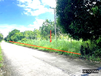 ขายที่ดิน : ที่ดินว่างเปล่า 602 ตร.วา เสลภูมิ ร้อยเอ็ด 452,000