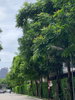 listing thumbnail image 21